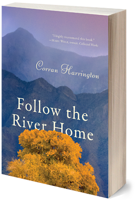 Follow the River Home, novel, book cover